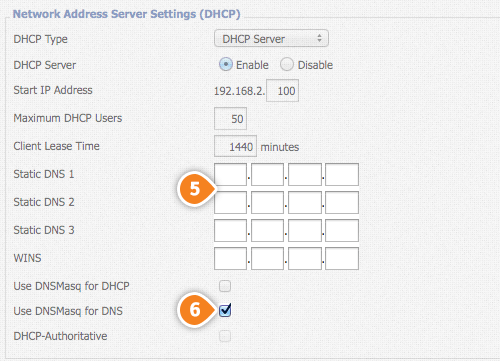 DD-WRT  Smart DNS Setup: Step 3