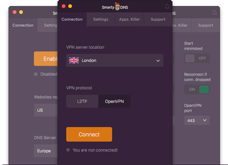 SmartyDNS VPN App